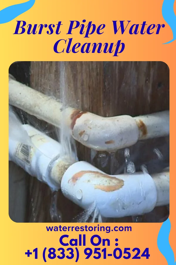Burst Pipe Water Cleanup in Mount Pocono, PA