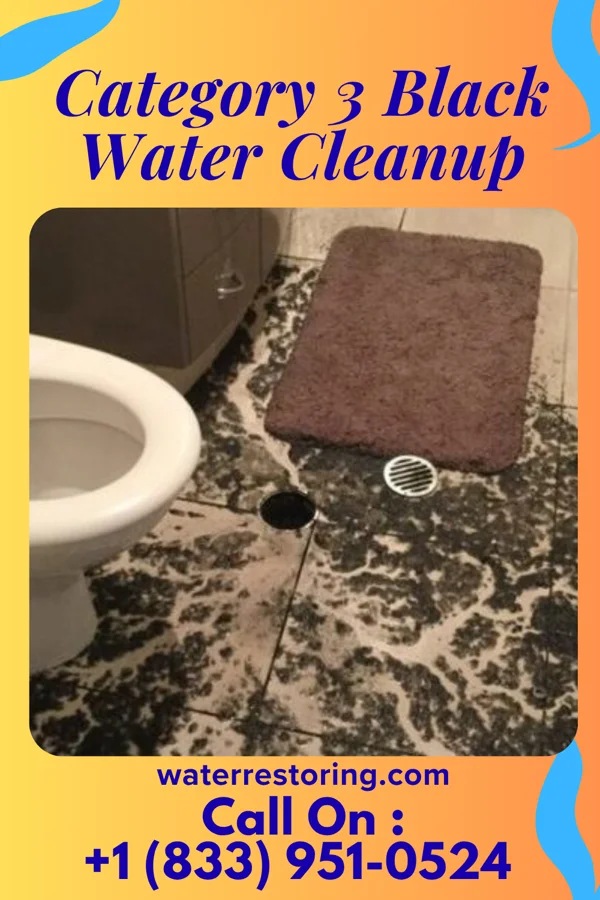 Category 3 Black Water Cleanup in Mount Pocono, PA