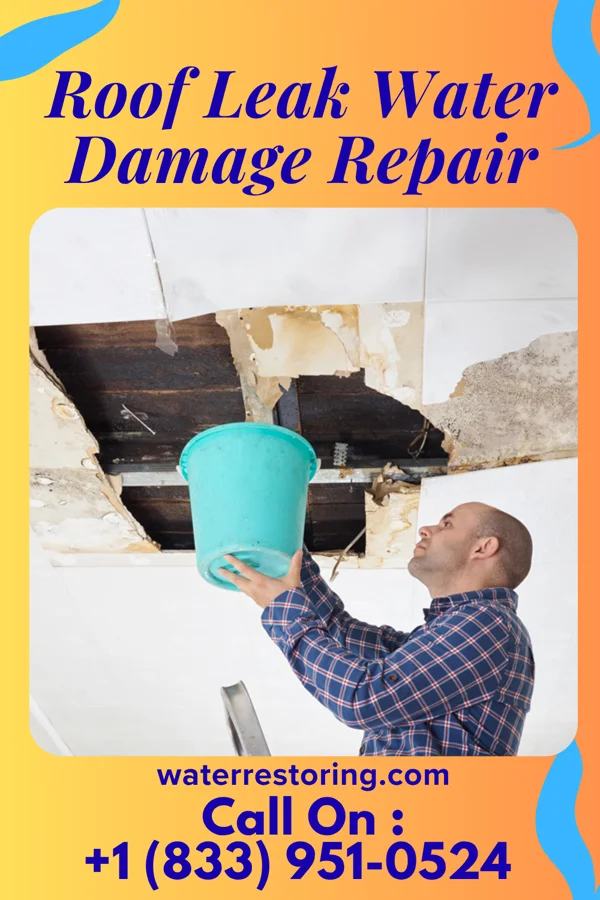 Roof Leak Water Damage Repair in Mount Pocono, PA