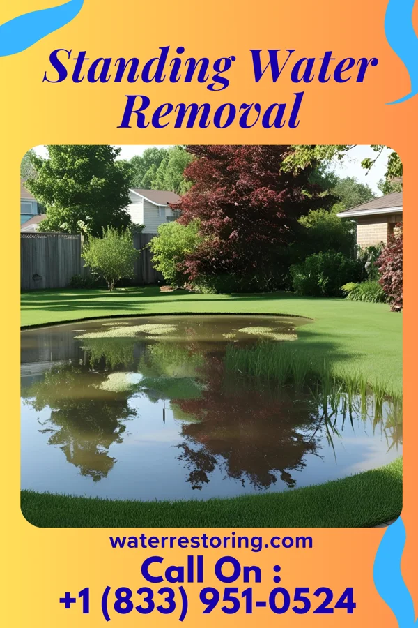Standing Water Removal in Mount Pocono, PA